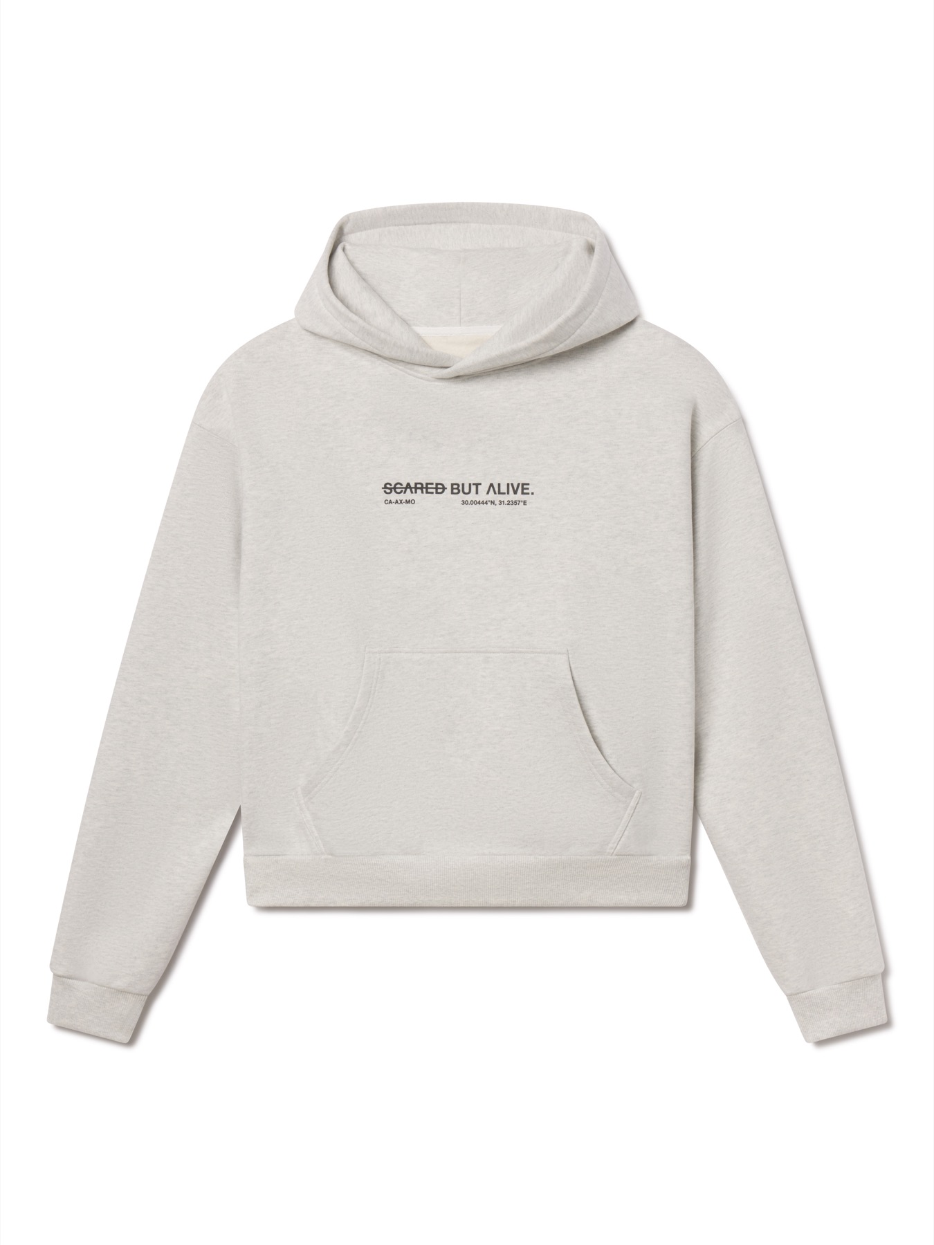 Los Angeles Hoodie gray flat lay